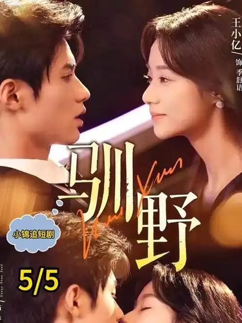 双生之城 电视剧全集免费在线观看海报